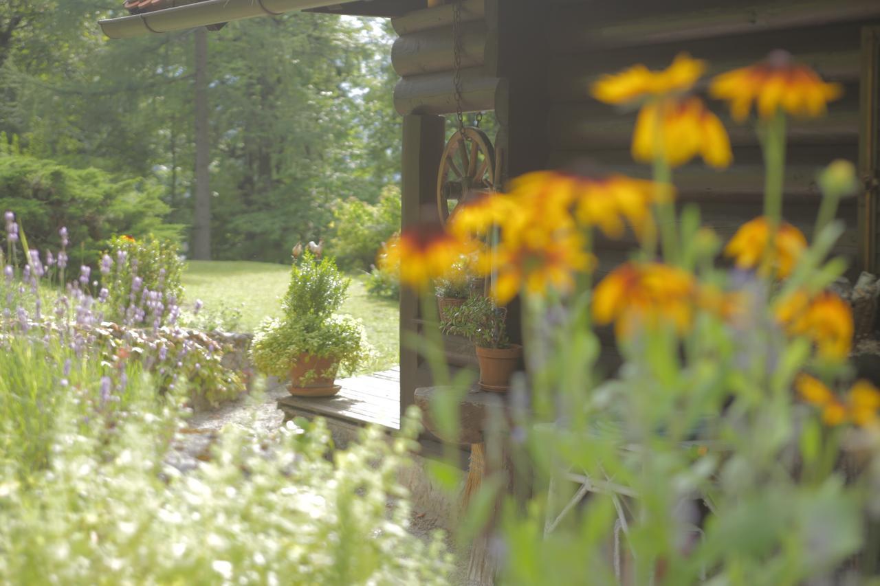 Holiday House Macesen Bledcottage Exterior foto